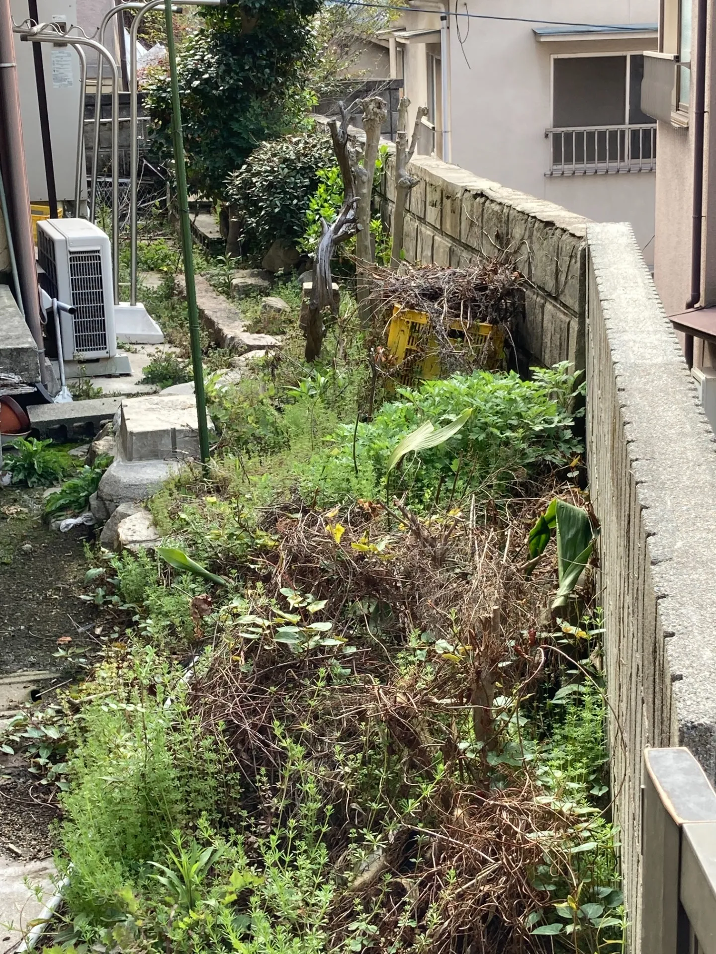 便利屋 遺品整理